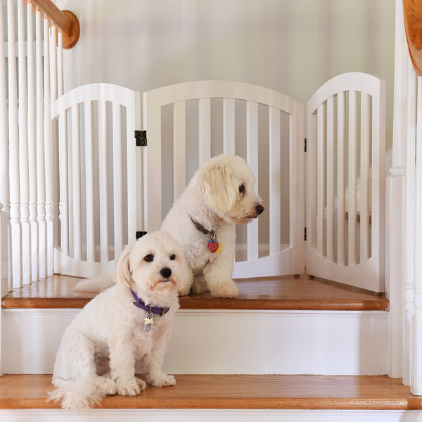Freestanding 24" Pet Gate in White
