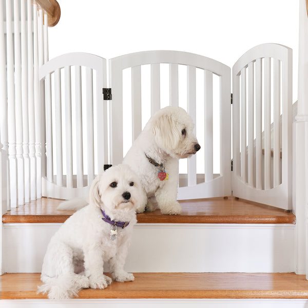 Freestanding 24" Pet Gate in White