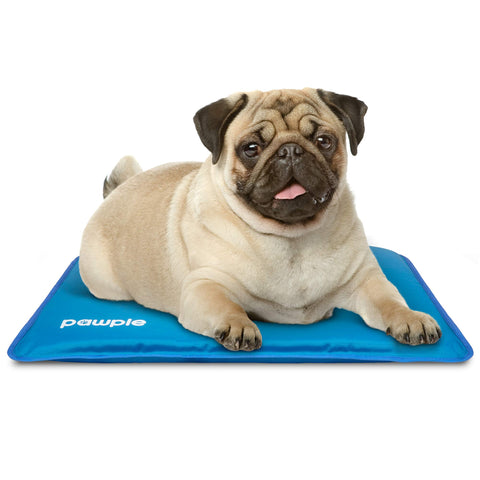 Pawple Dog Cooling Mat, Dog Bed Mat for Kennels, Crates and Beds with Thick Foam Base 17" x 24"