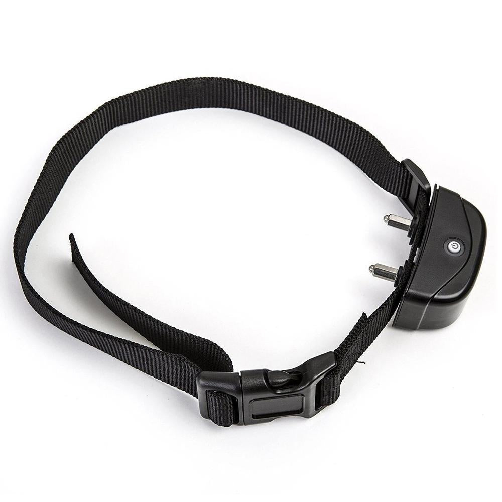 Pet trainer replacement collar hotsell