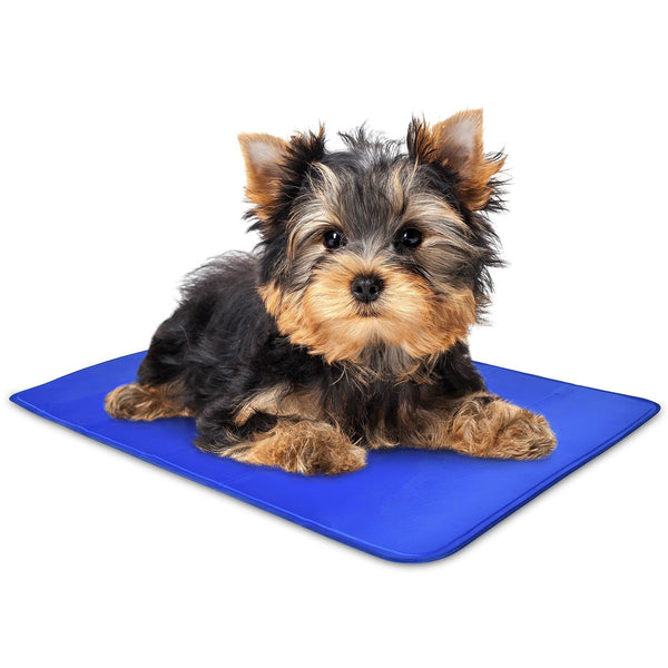 Arf Pets Dog Cooling Mat, Durable, Non-Toxic Gel Dog Bed Mat for Kennels, Crates & Beds - X-Small