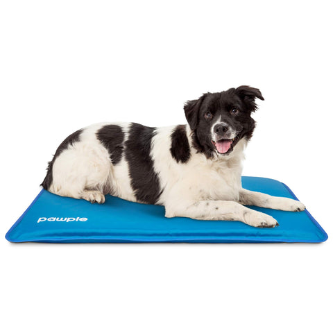 Pawple Dog Cooling Mat, Dog Bed Mat for Kennels, Crates and Beds with Thick Foam Base 32" x 22"