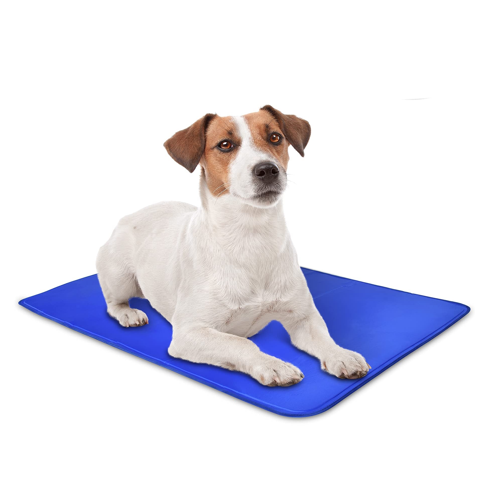 ArfPets Dog Cooling Mat