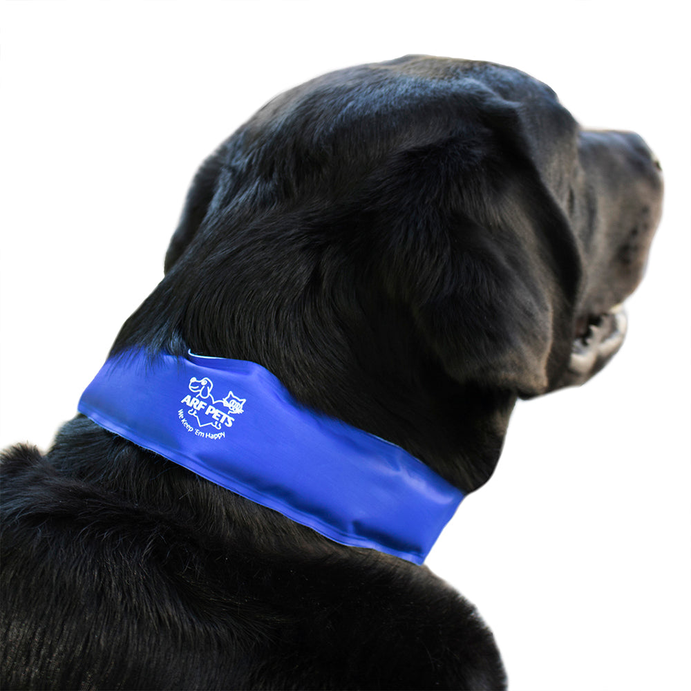 Medium/Large Cooling Dog Collar