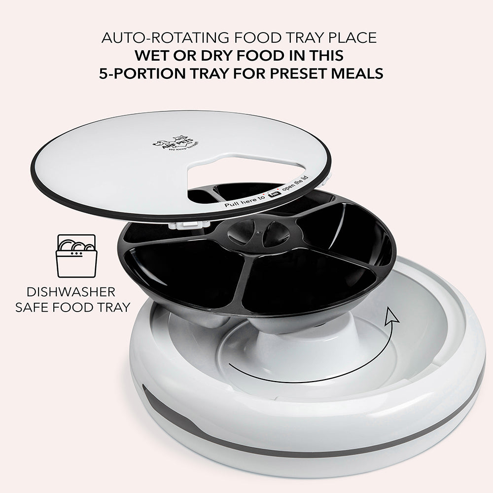 Automatic Pet Feeder for Dry & Wet Food – Arf Pets
