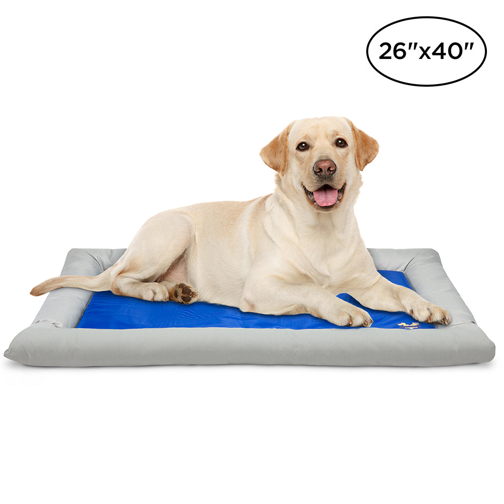 Arf pets cooling mat canada best sale