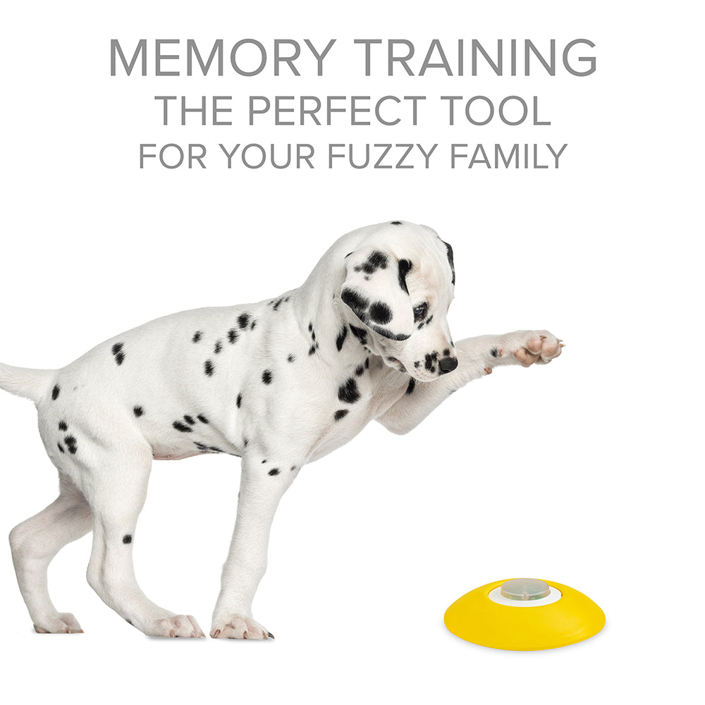 Pet Supplies : Arf Pets Dog Treat Dispenser with Remote Button – Dog Memory  Training Activity Toy – Treat While Train, Promotes Exercise by Rewards,  Improves Memory & Positive Training for A