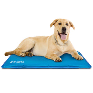 Pawple Dog Cooling Mat, Dog Bed Mat for Kennels, Crates and Beds with Thick Foam Base 44" x 32"